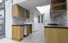 Bodle Street Green kitchen extension leads